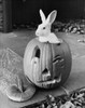 Close-up of a rabbit in a jack o' lantern Poster Print - Item # VARSAL25512758
