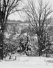 USA  New Hampshire  village of Whitefield through Elm trees Poster Print - Item # VARSAL255421613