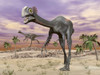 Two gigantoraptor dinosaurs walking in the desert Poster Print - Item # VARPSTEDV600109P