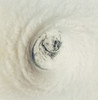 Eye of Hurricane Emilia Poster Print by Science Source - Item # VARSCIBV1118
