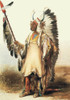 Mato-tope, Mandan Chief, 1830s Poster Print by Science Source - Item # VARSCIJE9113