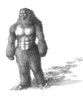 Yeti Poster Print by Spencer Sutton/Science Source - Item # VARSCIBS7839