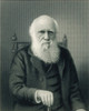 Charles Darwin, English Naturalist Poster Print by Science Source - Item # VARSCIJA0951