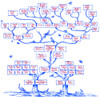 Guggenheim Family Tree Poster Print by Science Source - Item # VARSCIBN6508