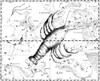 Cancer Constellation, Zodiac Sign, Hevelius Poster Print by Science Source - Item # VARSCIBX9580