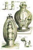 Robert Boyle's Experimental Air Pumps, 1669 Poster Print by Science Source - Item # VARSCIJB4976