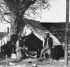 American Civil War, Contraband Soldiers, 1863 Poster Print by Science Source - Item # VARSCI8G3565