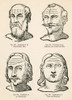 Physiognomy, 1637 Poster Print by Science Source - Item # VARSCIBS7770