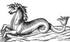Sea Horse, 16th Century Poster Print by Science Source - Item # VARSCI9N3043