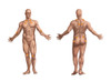 Trigger Points on the Nude Man Poster Print by Spencer Sutton/Science Source - Item # VARSCIBW0828