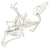Pterodactyl Fossil Poster Print by Science Source - Item # VARSCI9N3154