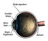 Eye Anatomy Poster Print by Science Source - Item # VARSCIBS4928