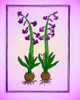 The Hyacinth Poster Print by Science Source - Item # VARSCIBP6310