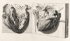 Heart Anatomy, Illustration, 1739 Poster Print by Science Source