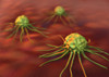 Cancer Cells, Computer Artwork Poster Print by Spencer Sutton/Science Source - Item # VARSCIJA5986