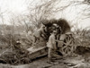 WWI, Camouflaged Howitzer, 1915 Poster Print by Science Source - Item # VARSCIBZ5459
