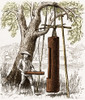 Village Clock Poster Print by Science Source - Item # VARSCIBT0635