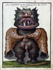 Demonology, 18th Century Poster Print by Science Source - Item # VARSCIJC4335