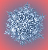 Snowflake Poster Print by Science Source - Item # VARSCIBR3945