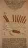 Halley's Comet, 1531 Poster Print by Science Source - Item # VARSCIBP5589