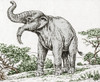 Deinotherium, Extinct Prehistoric Mammal Poster Print by Science Source - Item # VARSCIBR8944