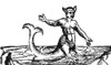 Merman, Legendary Creature, 16th Century Poster Print by Science Source