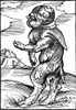 Monk Calf, Reformation Monster Poster Print by Science Source - Item # VARSCIBY1390