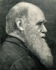 Charles Darwin, English Naturalist Poster Print by Science Source - Item # VARSCIJA0949