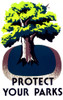 Protect Your Parks, FAP Poster, 1938 Poster Print by Science Source - Item # VARSCIJC3058
