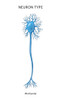 Multipolar Neuron, Illustration Poster Print by Monica Schroeder/Science Source - Item # VARSCIJC0744