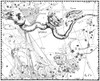 Hydra Constellation, Hevelius, 1687 Poster Print by Science Source - Item # VARSCIBX9592