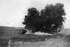 WWI, Battle of Amiens, 1918 Poster Print by Science Source - Item # VARSCIBZ7828