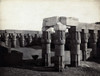 Temple of Luxor, Egypt, 19th Century Poster Print by Science Source - Item # VARSCIJA1278