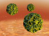 Human Papillomavirus, HPV, Illustration Poster Print by Spencer Sutton/Science Source - Item # VARSCIJB9150