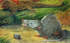 Morganucodon, Triassic Mammal Poster Print by Science Source - Item # VARSCIJC1219