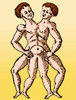 Conjoined Twins, 16th Century Poster Print by Science Source - Item # VARSCIBZ6474