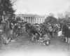 Easter Egg Rolling, 1929 Poster Print by Science Source - Item # VARSCI8I5585