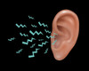 Sound Entering Human Outer Ear, Illustration Poster Print by Gwen Shockey/Science Source - Item # VARSCIJB3256
