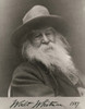 Walt Whitman, American Poet Poster Print by Science Source - Item # VARSCIBU2708