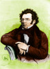 Franz Peter Schubert, Austrian Composer Poster Print by Science Source - Item # VARSCIBU4155