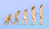 Human Evolution Poster Print by Spencer Sutton/Science Source - Item # VARSCIBT7329