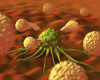 Immune System Fighting a Cancer Cell Poster Print by Spencer Sutton/Science Source - Item # VARSCIJB0979