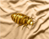 Bed Bug Poster Print by Spencer Sutton/Science Source - Item # VARSCIBS6079