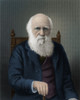 Charles Darwin, English Naturalist Poster Print by Science Source - Item # VARSCIJC9508