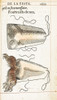 Prosthetic Noses, Ambroise Pare, 1561 Poster Print by Science Source - Item # VARSCIJB1756