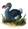 Dodo Bird Poster Print by Spencer Sutton/Science Source - Item # VARSCIBW0795