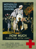 WWI, American Red Cross Campaign, 1917 Poster Print by Science Source - Item # VARSCIBZ6413