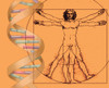 Vitruvian Man with DNA Poster Print by Spencer Sutton/Science Source - Item # VARSCIBU5182