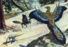 Archaeopteryx, Primordial Bird Poster Print by Science Source - Item # VARSCIJC1214