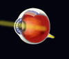 Eye Poster Print by Spencer Sutton/Science Source - Item # VARSCIBU0921